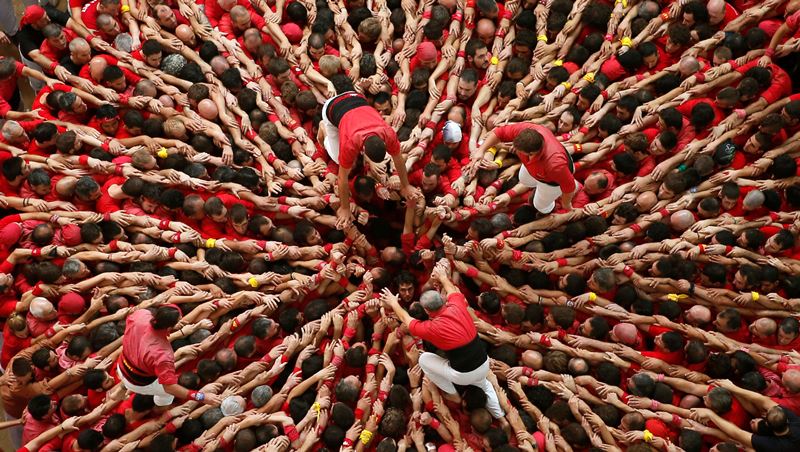 Une organisation agile est une organisation dont les équipes sont centrées sur le client et en mouvement collectif permanent